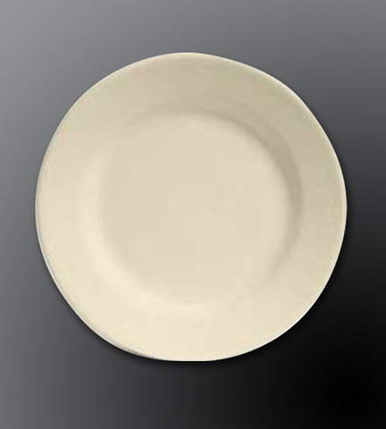 Rolled Edge Ceramic Dinnerware Dover White Plate 9.625" Dia.